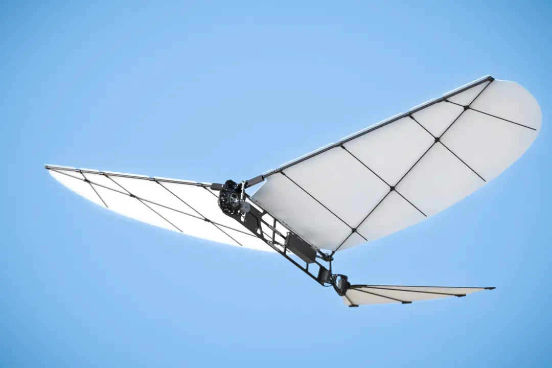 picture of a flapping-wing drone made by Eagle Sight Dynamics