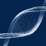 Illustration of a DNA double helix