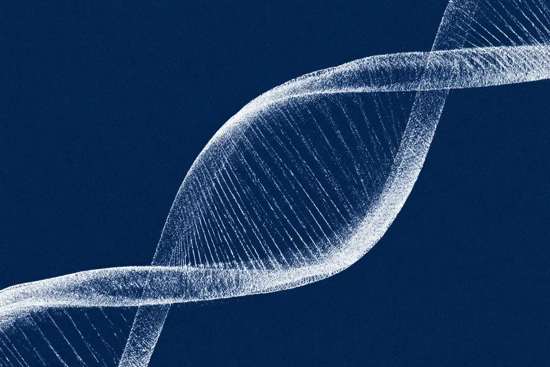 Illustration of a DNA double helix